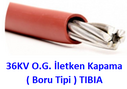 25 Metre 36KV OG İletken Kapama (Boru Tipi) TIBIA Q8 - Swallow - 2